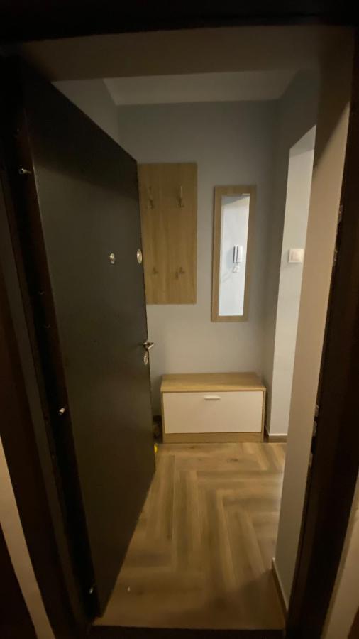 Dacia Apartment ティミショアラ エクステリア 写真