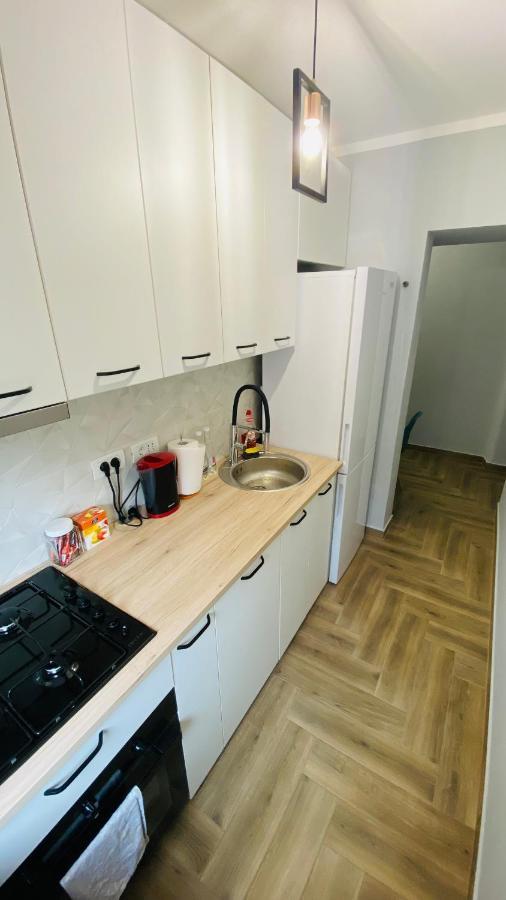 Dacia Apartment ティミショアラ エクステリア 写真