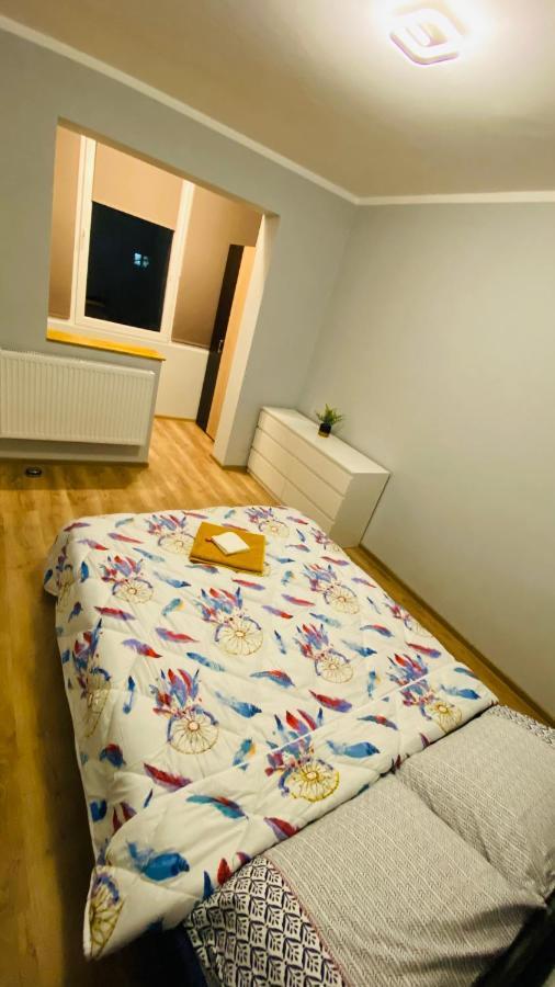 Dacia Apartment ティミショアラ エクステリア 写真